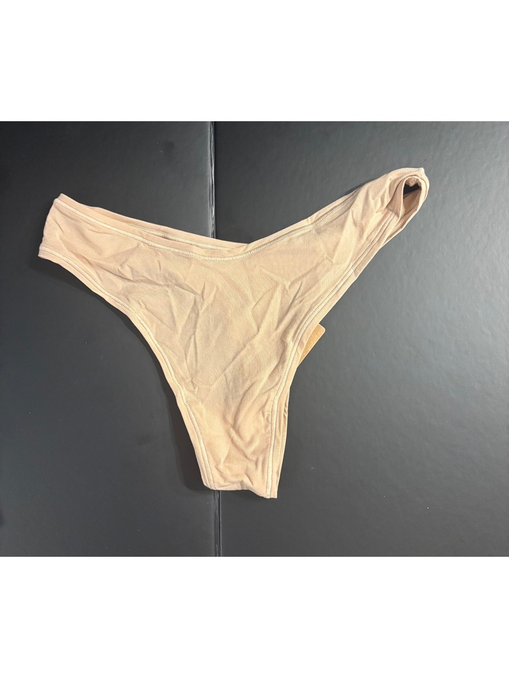 SKIMS Dipped Thong Panties Small Clay Nude Beige Stretch Underwear NWT